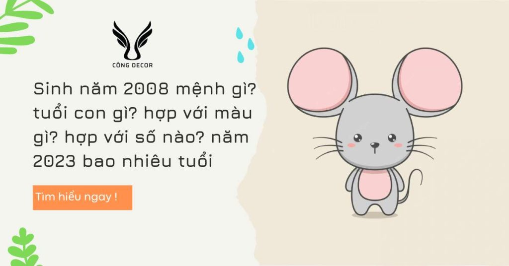 Sinh năm 2008 mệnh gì? tuổi con gì? hợp với màu gì? hợp với số nào? năm 2023 bao nhiêu tuổi