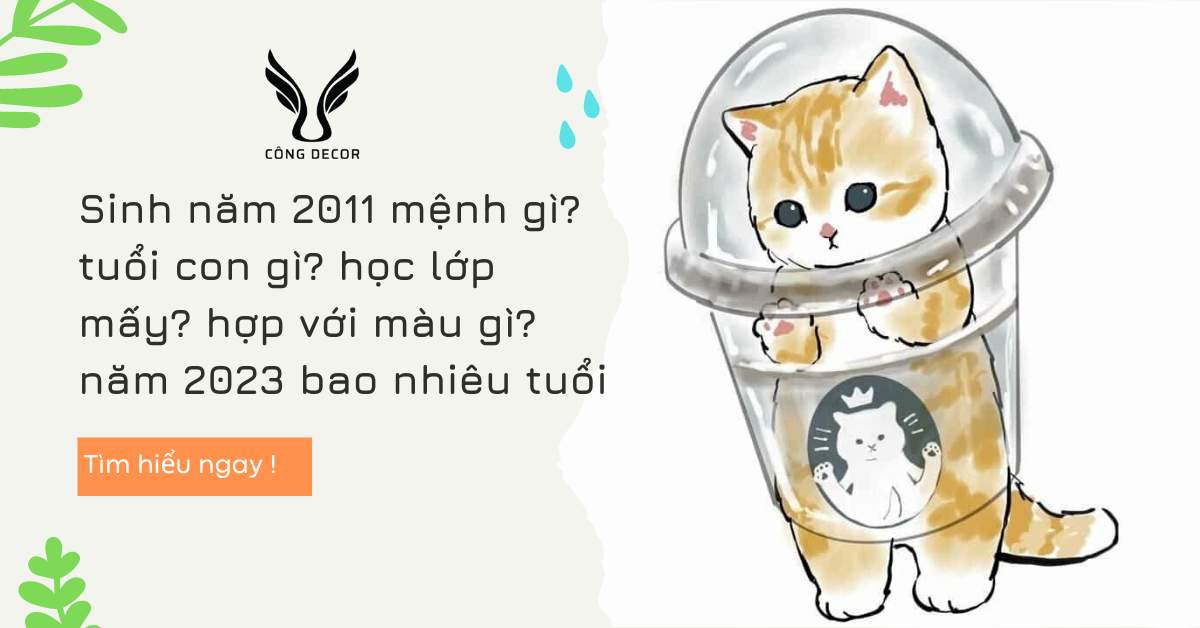 Sinh năm 2011 mệnh gì? tuổi con gì? học lớp mấy? hợp với màu gì? năm 2023 bao nhiêu tuổi