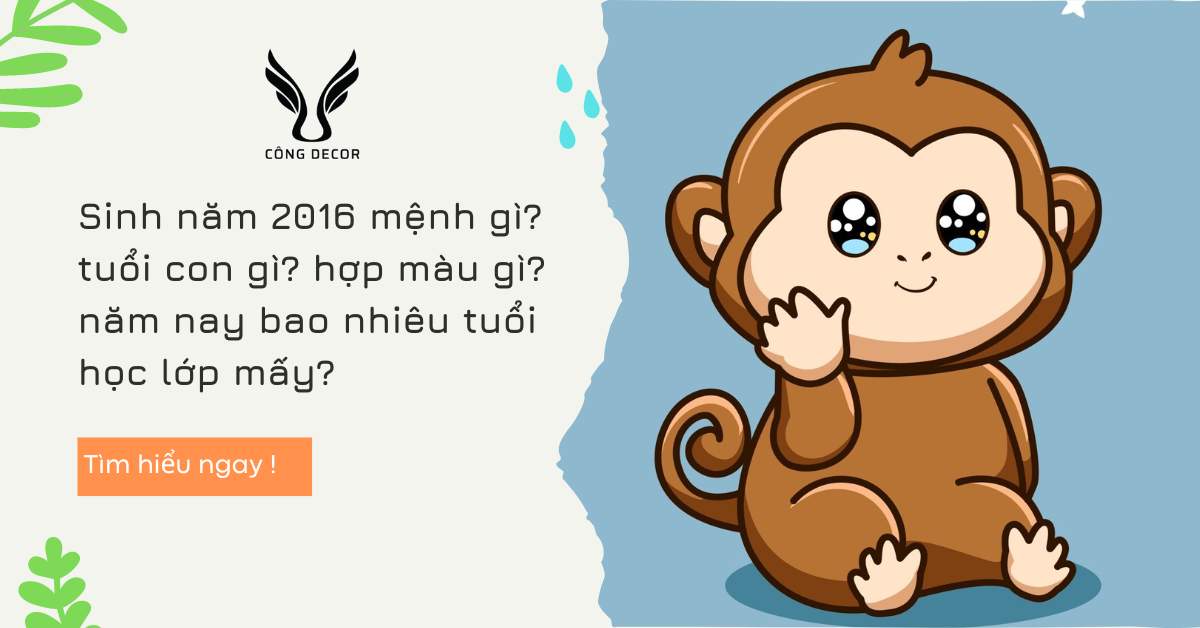 Sinh năm 2016 mệnh gì? tuổi con gì? hợp màu gì? năm nay bao nhiêu tuổi học lớp mấy?