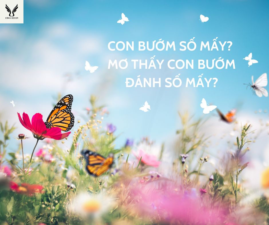 Con bướm số mấy? Nằm mơ thấy con bướm đánh số mấy?