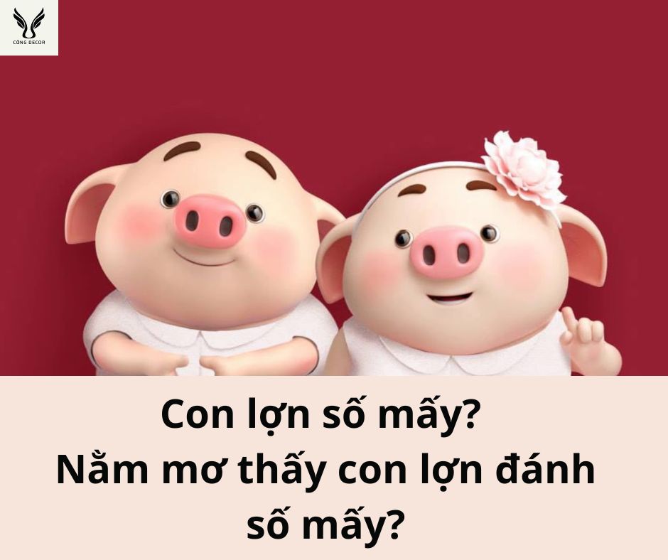 Con lợn số mấy? Nằm mơ thấy con lợn đánh số mấy?