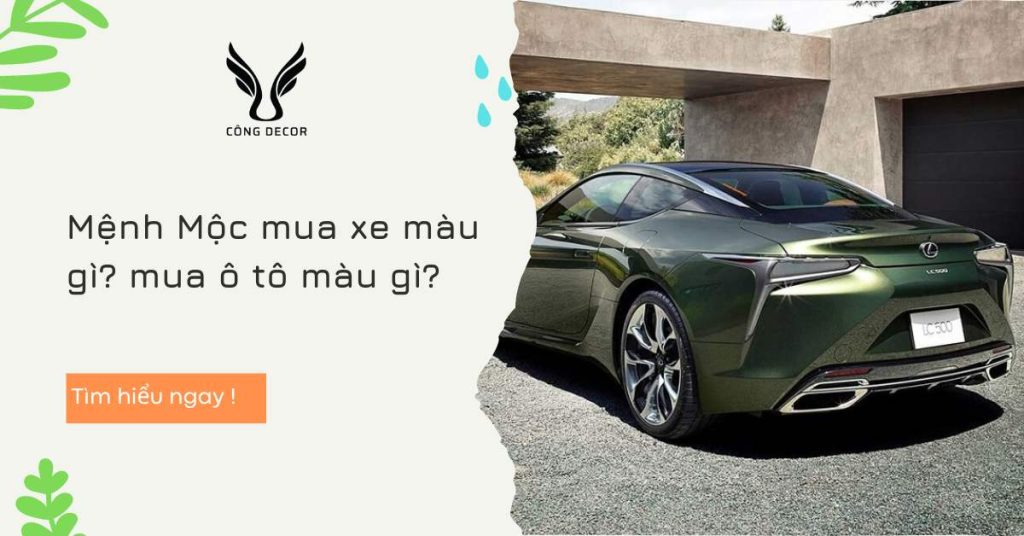 Mệnh Mộc mua xe màu gì mua ô tô màu gì