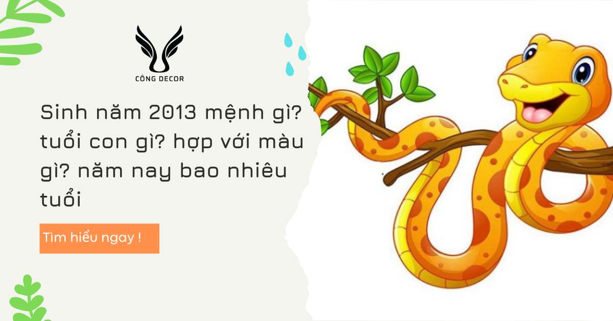 Sinh năm 2013 mệnh gì? tuổi con gì? hợp với màu gì? năm nay bao nhiêu tuổi