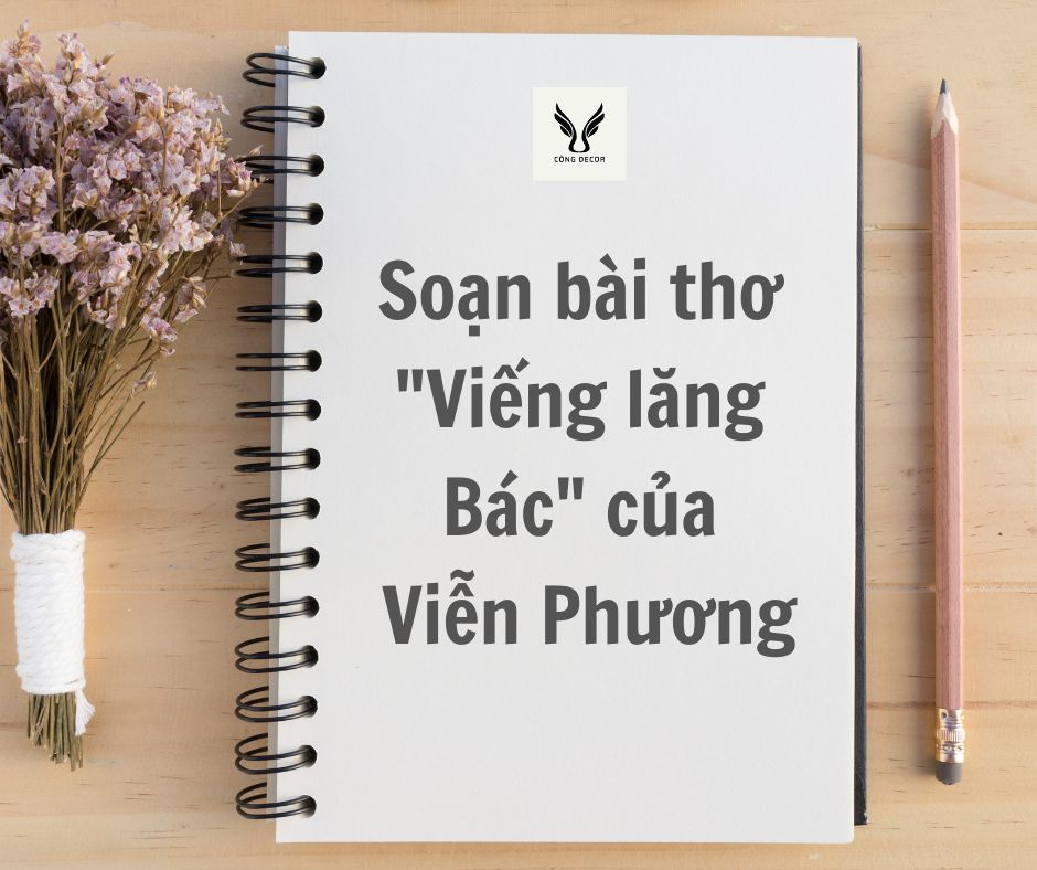 Soạn bài “Viếng lăng Bác” của Viễn Phương ngắn gọn, đầy đủ, dễ hiểu nhất