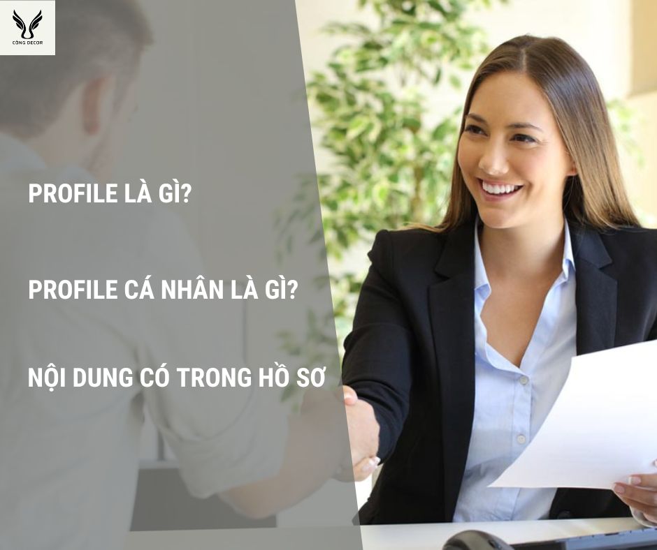 Profile là gì? Profile cá nhân là gì? Nội dung có trong Hồ sơ?