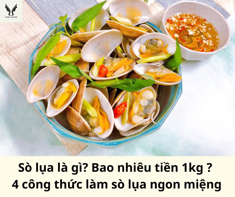 Sò lụa là gì? Bao nhiêu tiền 1kg ? 4 công thức làm sò lụa ngon miệng