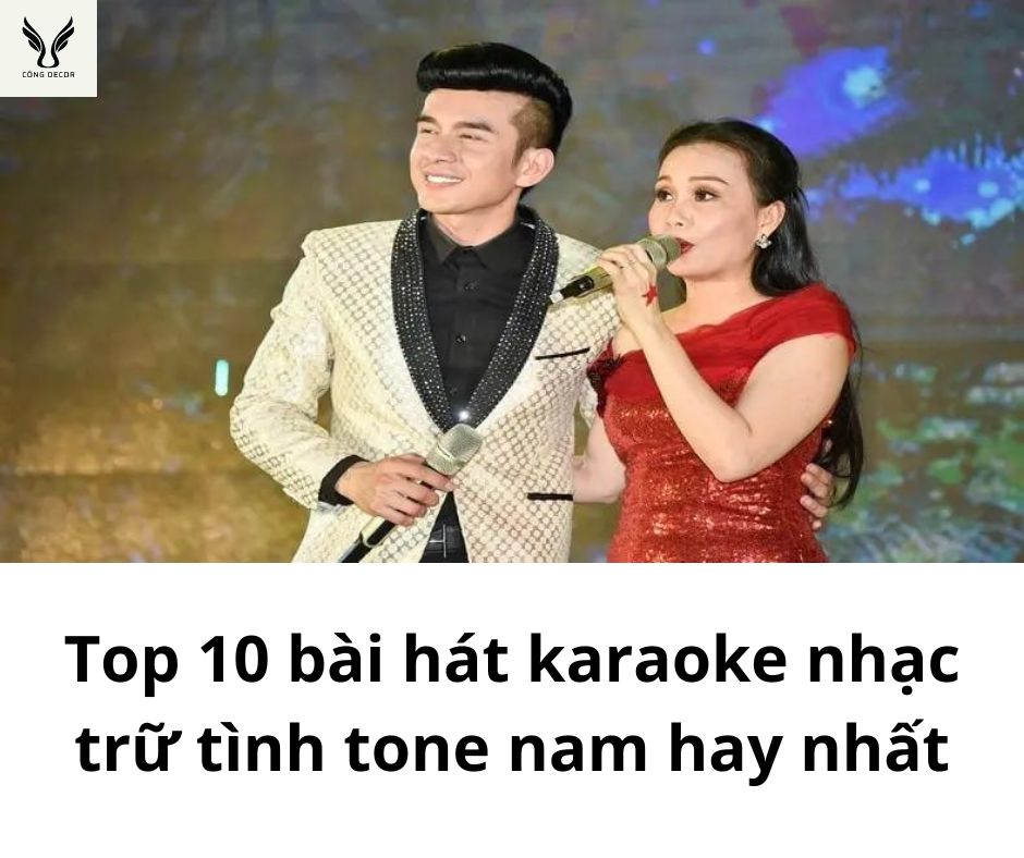 Tổng hợp 10 bài hát karaoke nhạc trữ tình tone nam hay nhất