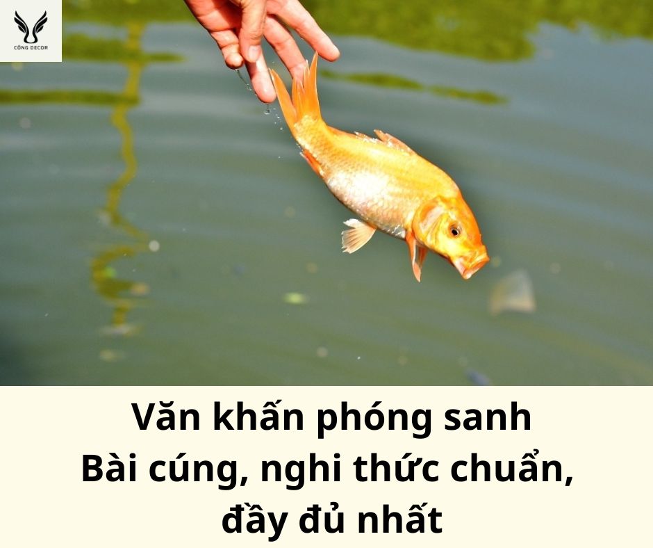 Văn khấn phóng sanh: Bài cúng, nghi thức chuẩn, đầy đủ nhất