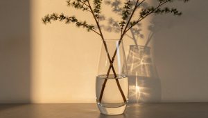 bình hoa decor trong suốt — ảnh đại diện bài viết anthomedecor.vn